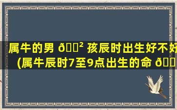 属牛的男 🌲 孩辰时出生好不好(属牛辰时7至9点出生的命 🐴 运)